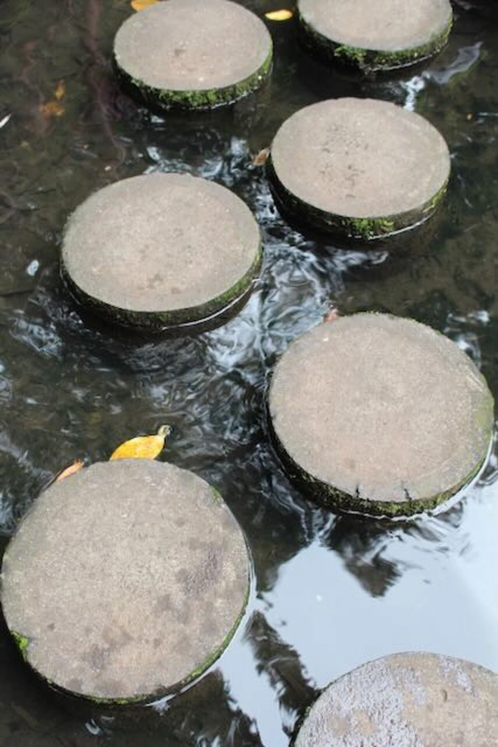 Praxis für Psychotherapie nach dem Heilpraktikergesetz – Heika Bialas